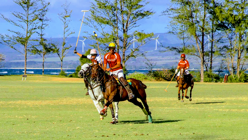 Hawaii Polo Club