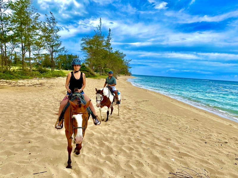 Hawaii Polo Club photo