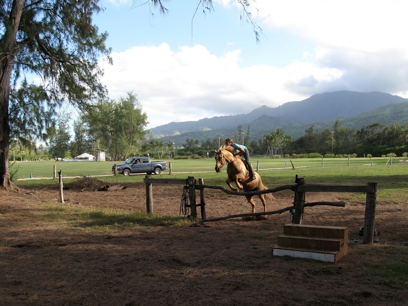 Hawaii Polo Club photo