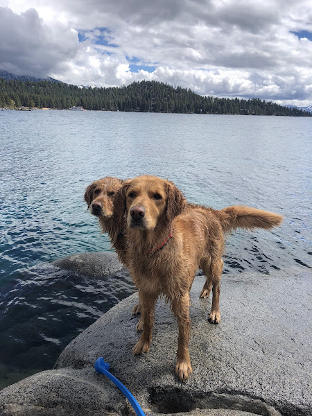 Blue Lake Animal Care Center