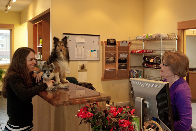 Cottonwood Veterinary Hospital