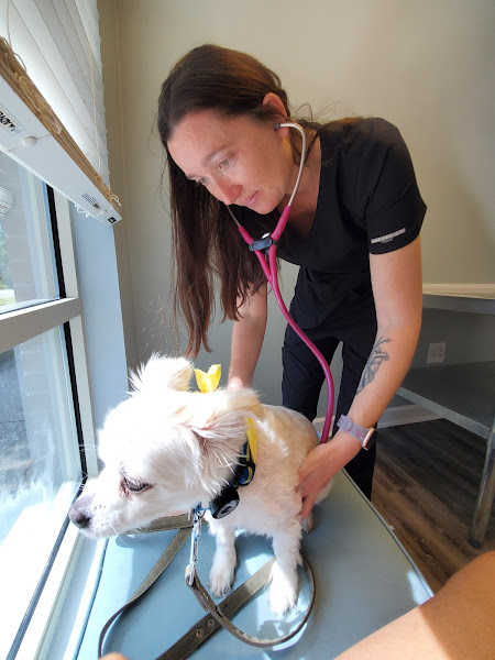 On Point Animal Hospital Surfside