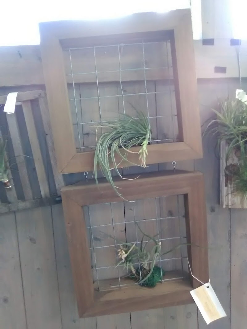 Mama's Garden Center