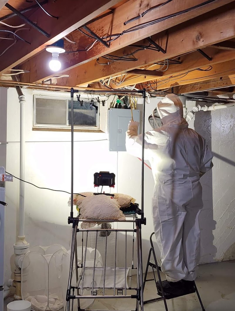 Terminix Wil-Kil - Pest control service in Appleton