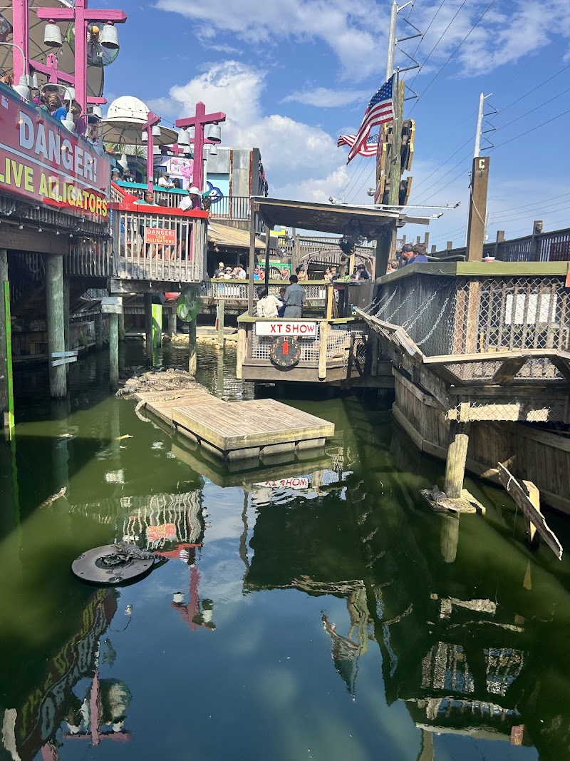 Fudpucker's Beachside Bar & Grill photo