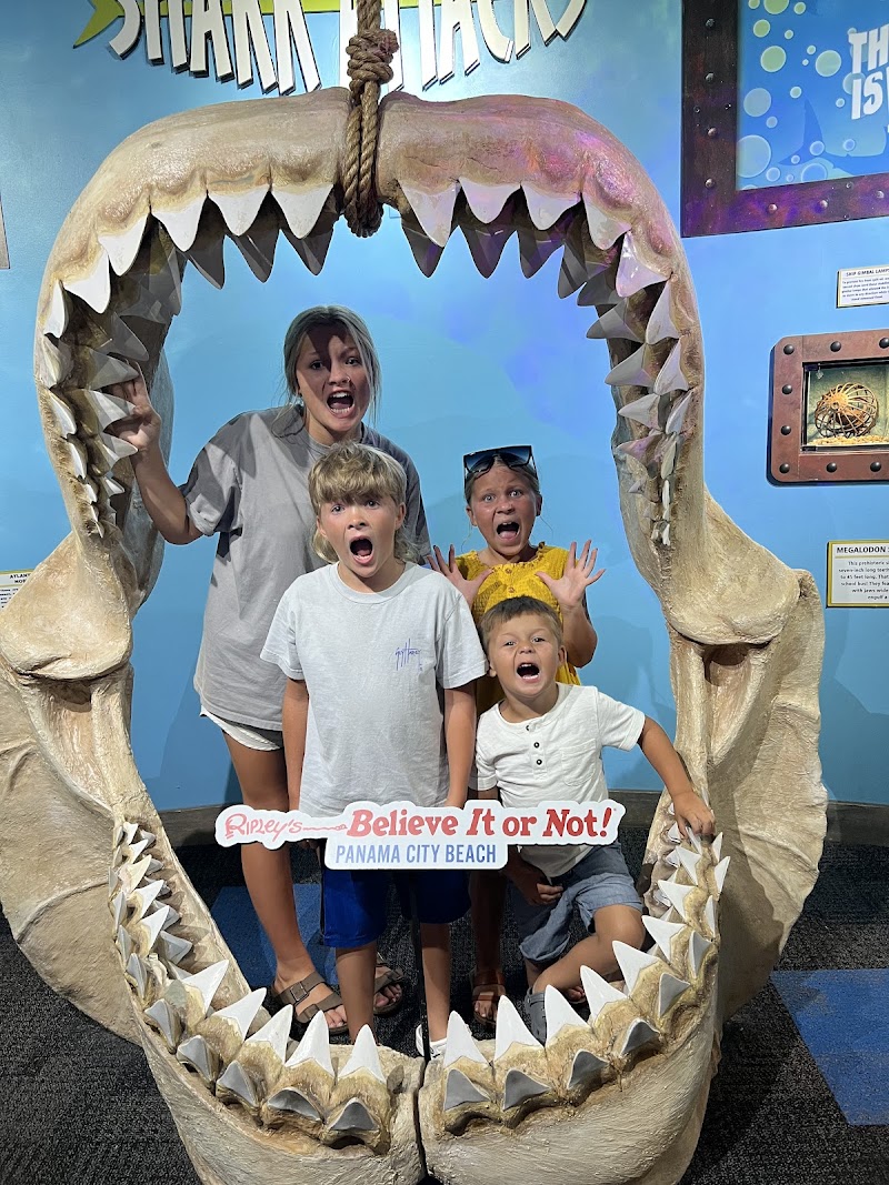 Ripley's Believe It or Not! photo