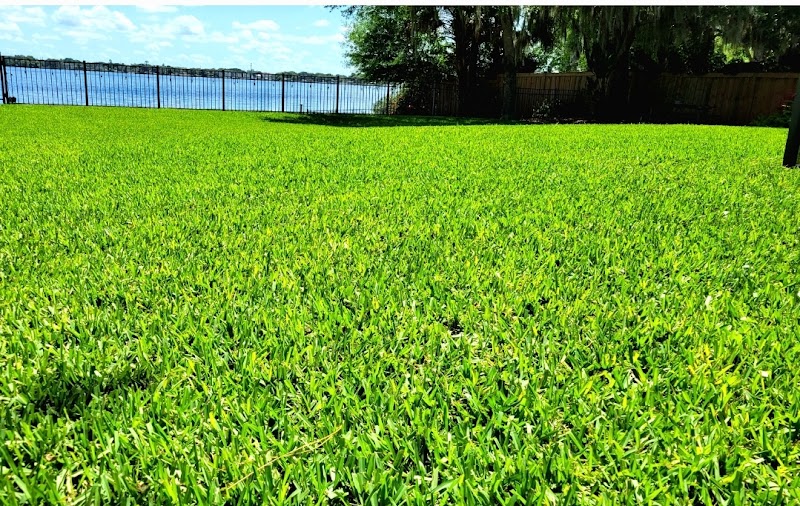 Best Pest Control photo