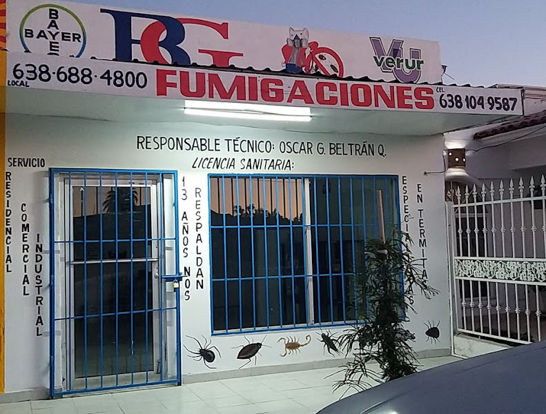 BG Fumigaciones - Pest control service in Rodolfo Campodónico