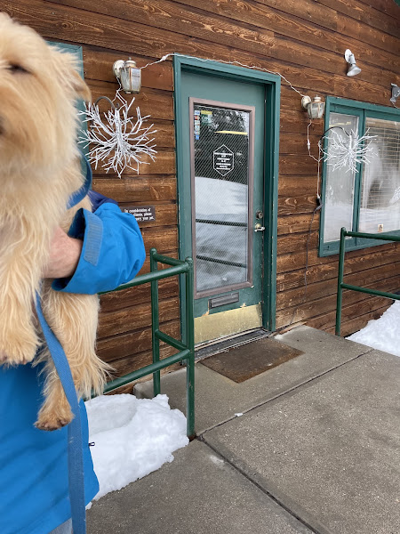 Ski Town Animal Hospital - Animal hospital in Steamboat Springs