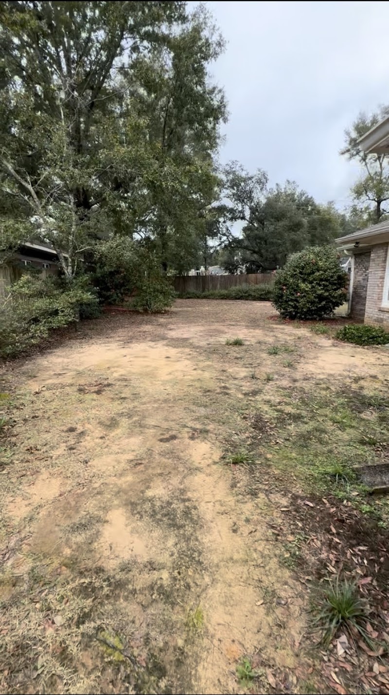 OUTERSPACES LANDSCAPING photo