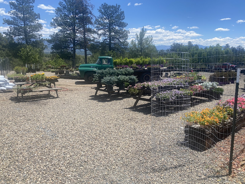 The Colorado Garden Company & General Store - Garden center in Pagosa Springs