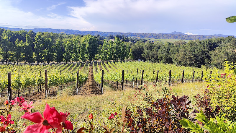 Lambert Bridge Winery