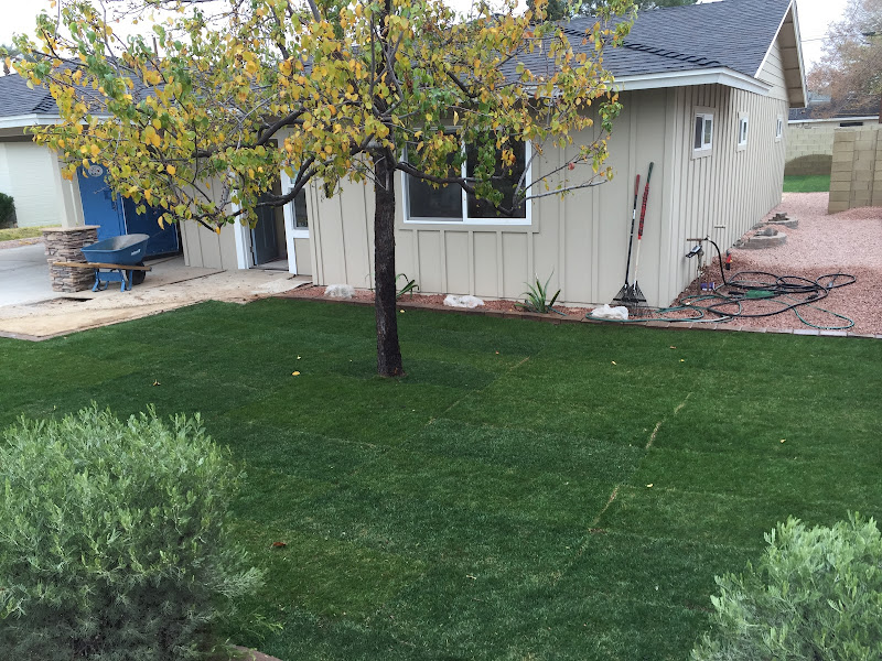 Stone Family Services LLC