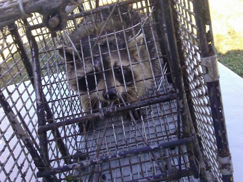 Target Pest Control - Pest control service in Miami