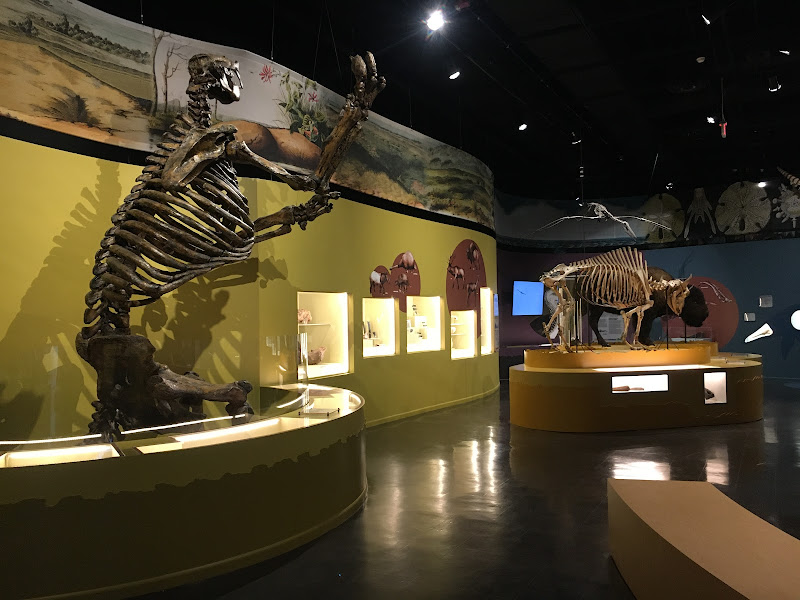 The Charleston Museum - Tourist attraction in Charleston