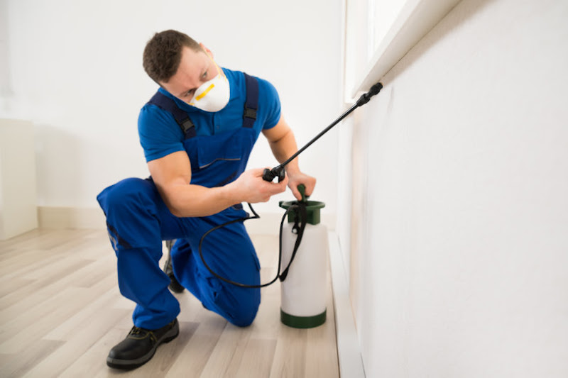 JD Smith Pest Control - Pest control service in Clearwater