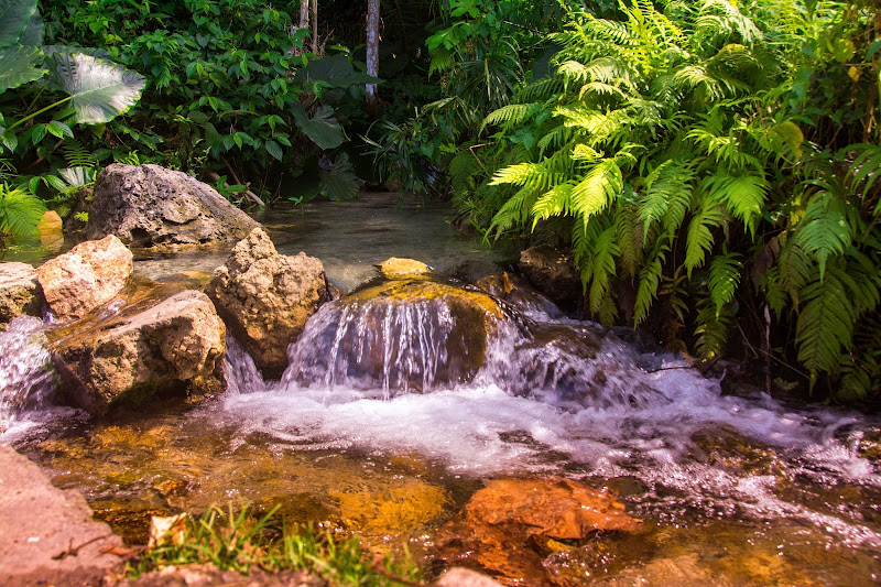 Vacation Stay Jamaica, LLC - Vacation home rental agency in Ocho Rios