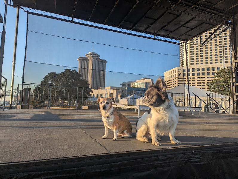 Pet Care Center Esplanade