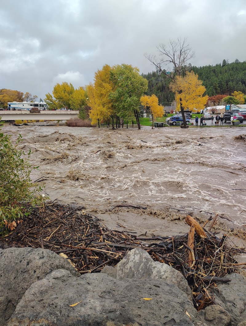 Centennial Park Bridge photo