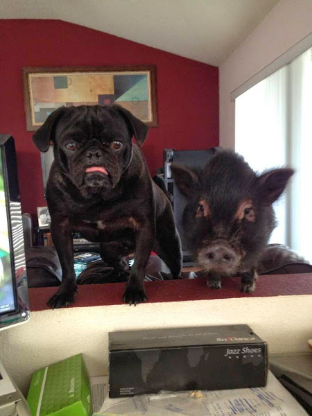 Walter S Sanders & Associates