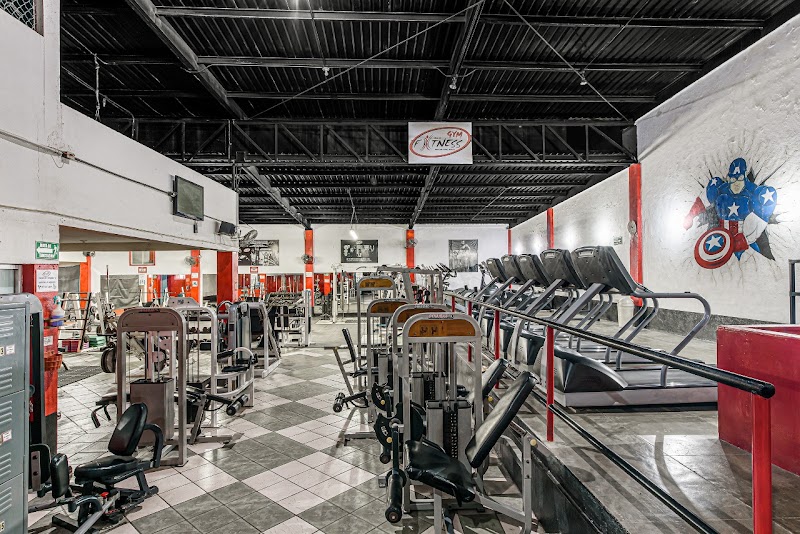 GYM ALL IN FITNESS - Fitness center in C. Idelfonso Green G