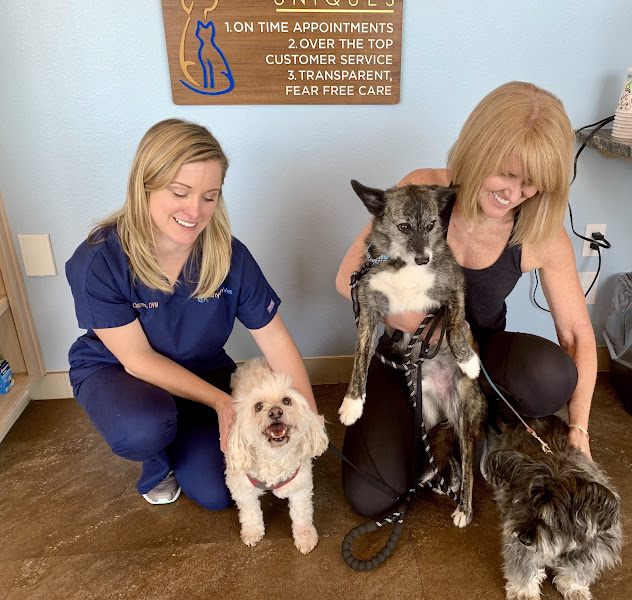 CanyonVet New Braunfels - Veterinarian in New Braunfels
