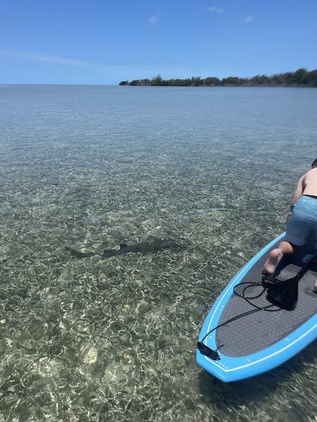 Fury Key West Watersports - Boat tour agency in Key West