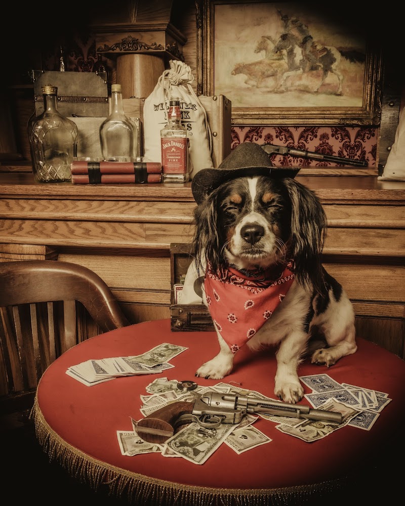 Old Time Photos - Wild Gals Old Time Photos photo