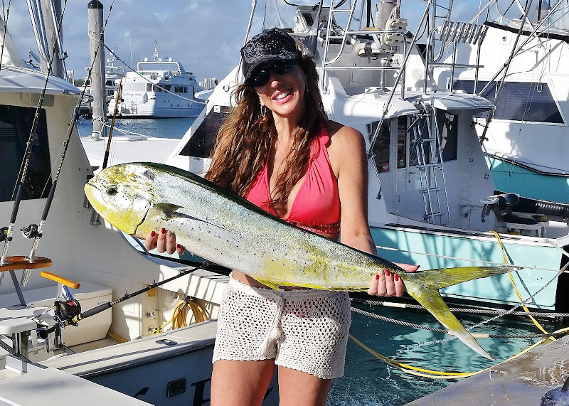 Old Hat Fishing Charters - Fishing charter in Miami Beach