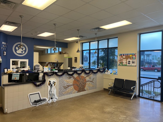Metro Paws Animal Hospital - Oak Cliff photo