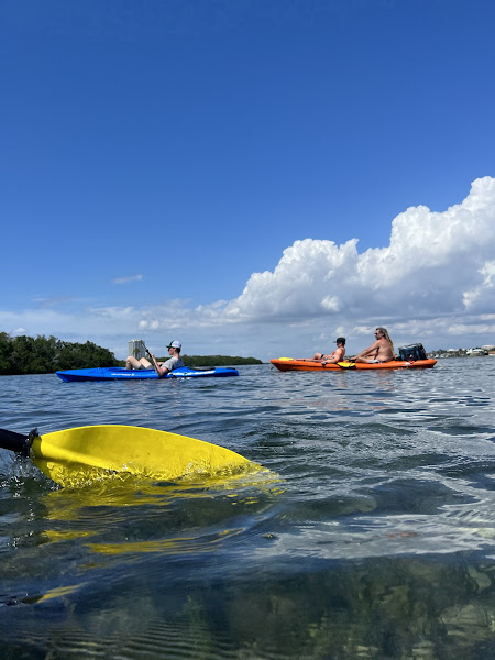 Lido Key Mangrove Kayak Tours