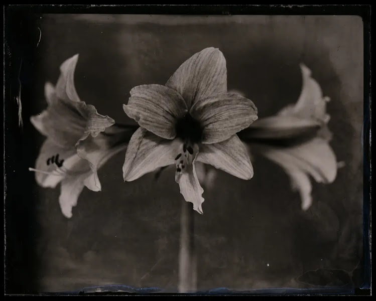 St. Augustine Tintype