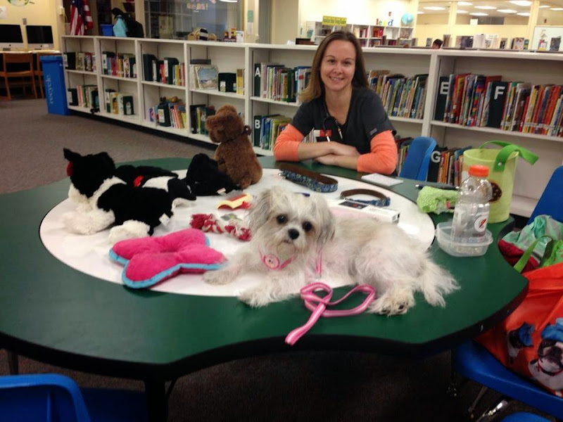 Harborside Animal Hospital - Veterinarian in Clearwater