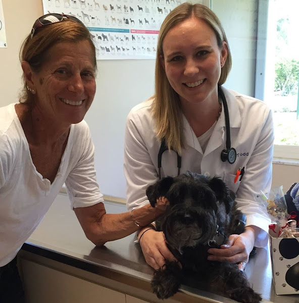 Court Street Animal Hospital