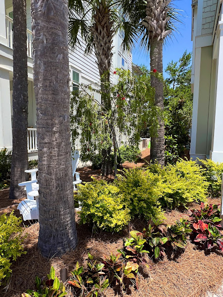 Costa Verde Landscaping - Landscape designer in Panama City Beach