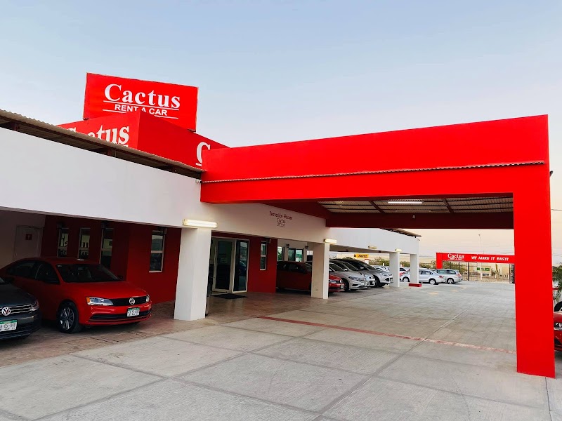 Cactus - Car rental agency in Aeropuerto