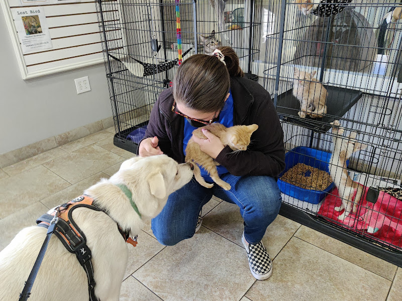 Galveston Island Humane Society