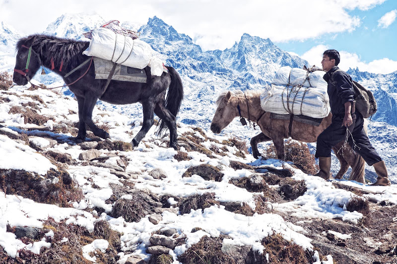 Patrick Niddrie Photography