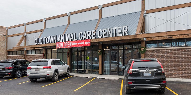 Old Town Animal Care Center - Veterinarian in Chicago
