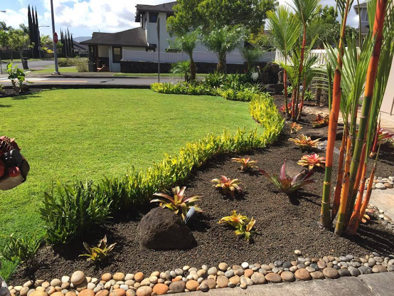 Cheapest Yard Service - Landscaper in Honolulu