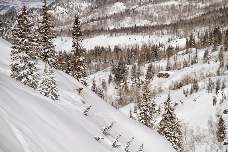 Steamboat Powdercats