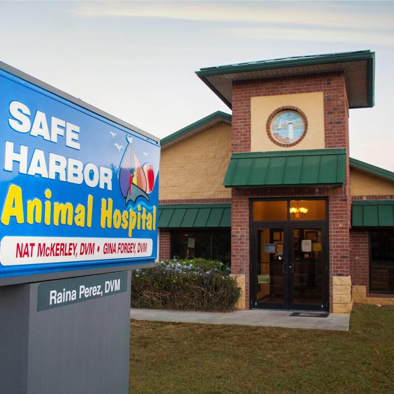 Safe Harbor Animal Hospital photo