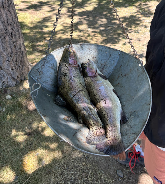 McGee Creek Trout Ponds - Fishing camp in Mammoth Lakes