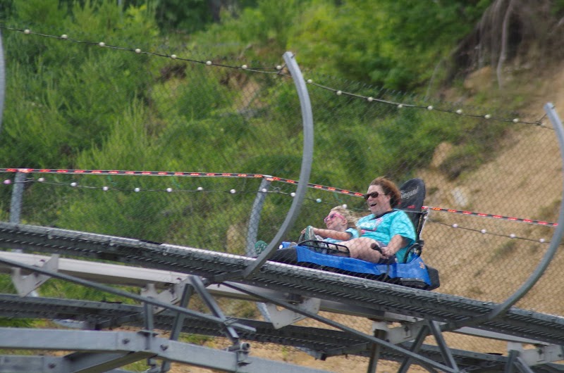 The Goat Coaster at Goats on the Roof photo