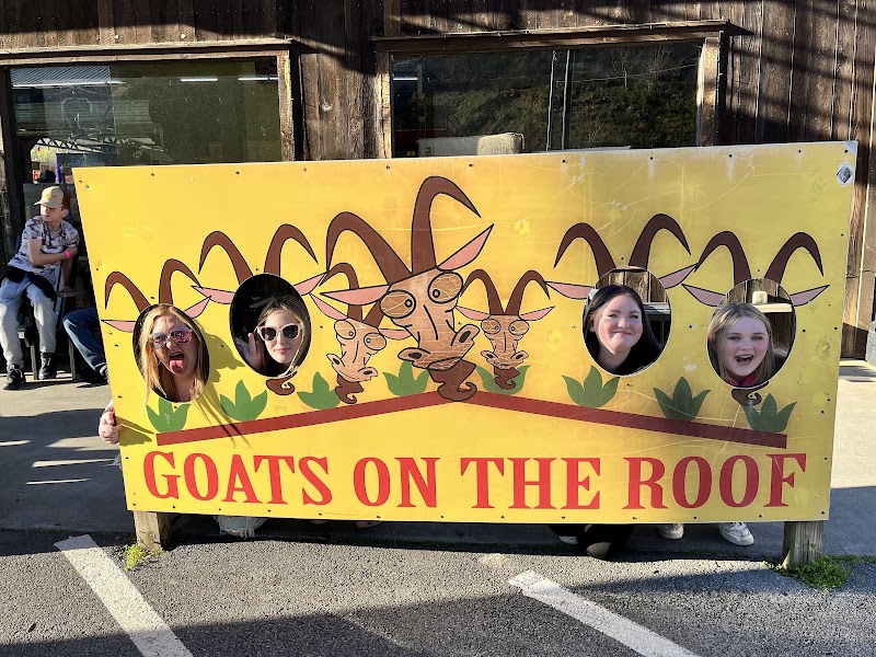 The Goat Coaster at Goats on the Roof photo