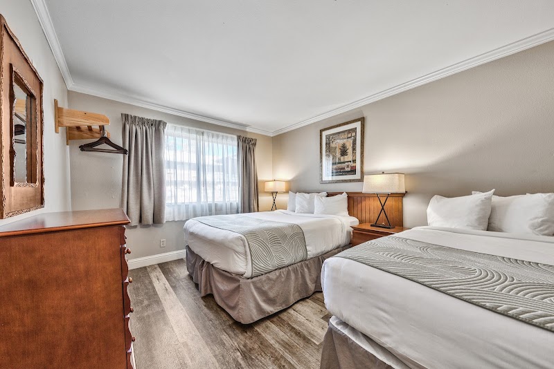Forest Suites Resort photo