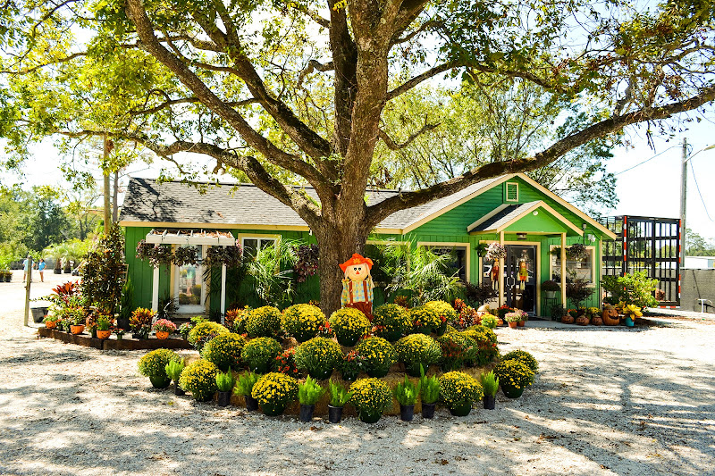 Evergreen Nursery & Landscaping