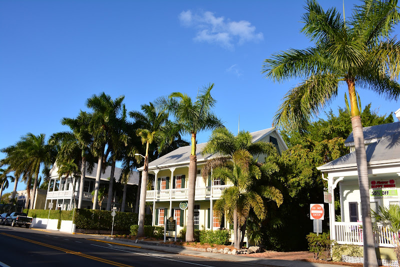 White Street Chiropractic