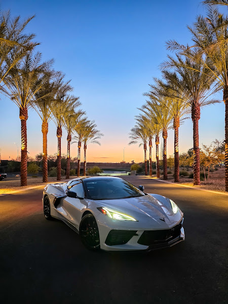 Desert Luxe Exotics