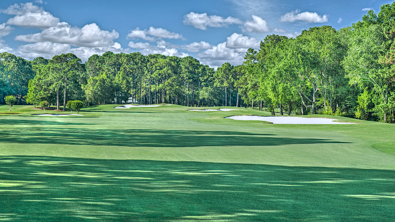 Dolphin Head Golf Club